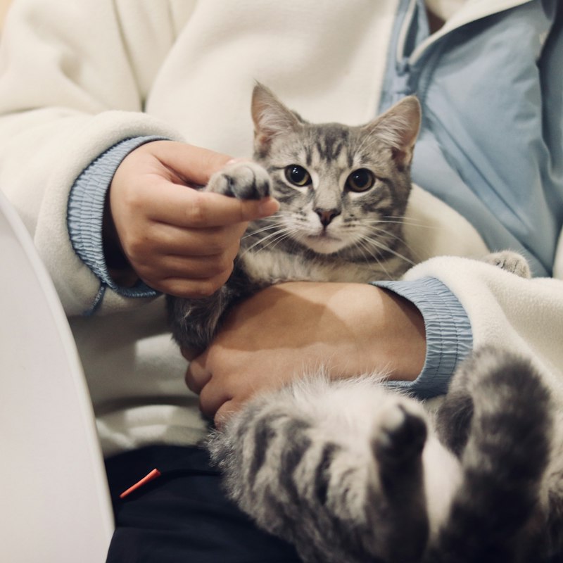 Veterinar